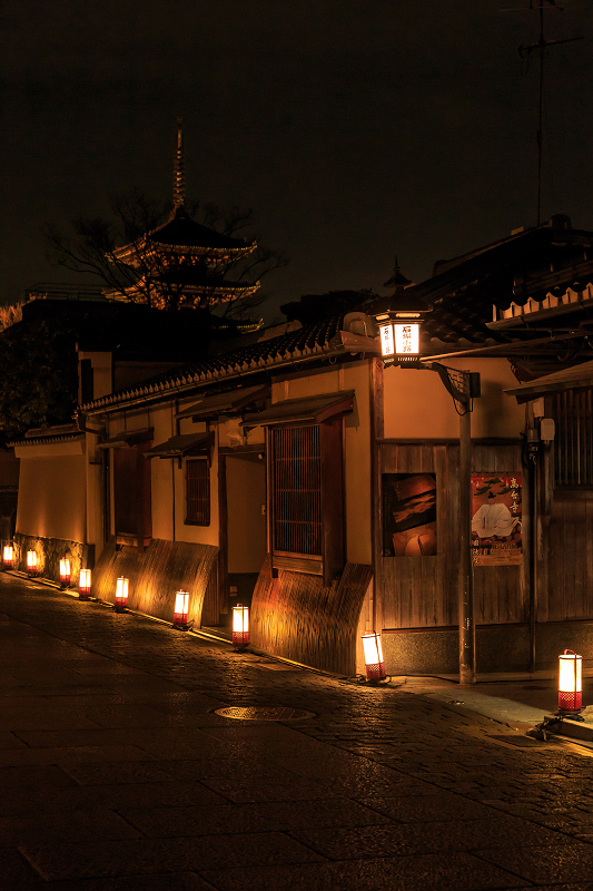 京都・東山花灯路2014　街歩き編_f0155048_0235513.jpg