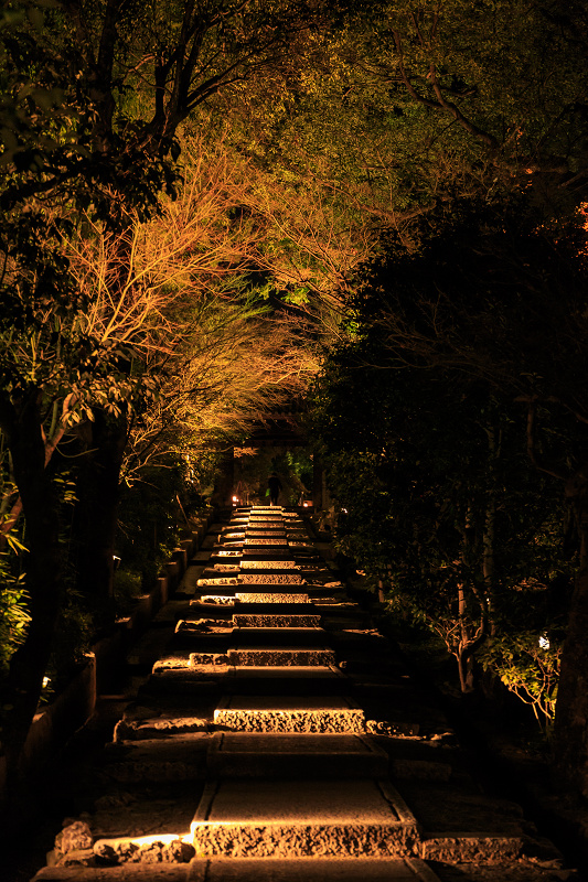 京都・東山花灯路2014　街歩き編_f0155048_0322960.jpg