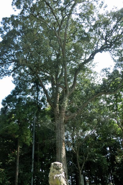 e0035757_1647313.jpg