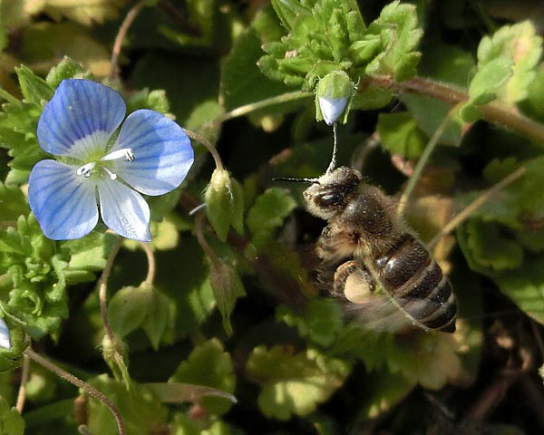 e0035757_16512362.jpg