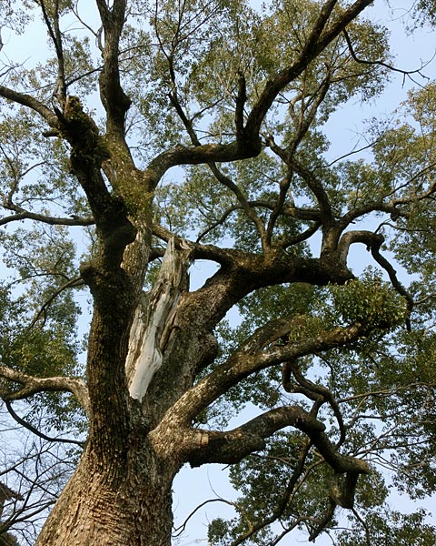 e0035757_16515887.jpg