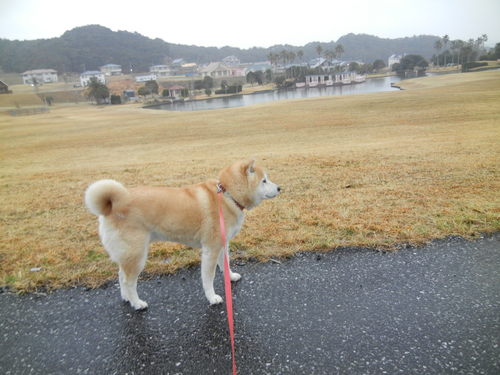 ’14,3,20(木)小学生の頃の私!_f0060461_15244658.jpg