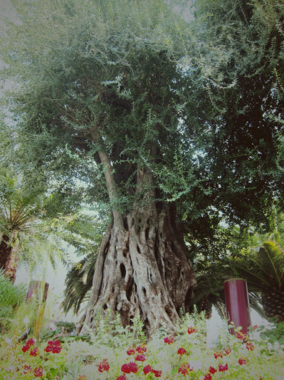 c0166866_11431964.jpg