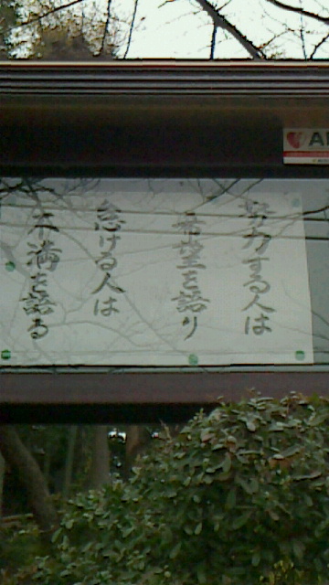 c0123272_1782437.jpg