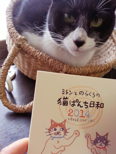 ミトンとのらくろの猫ぱんち日和　CAT CALENDAR2014 販売開始☆_d0121381_22452071.jpg