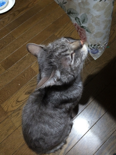 c0132387_12123124.jpg