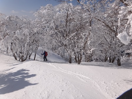 氷ノ山・おおくら谷_c0018489_1592989.jpg