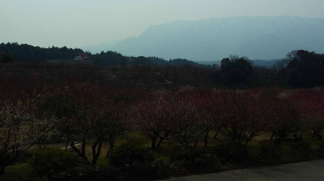 a0152692_17233787.jpg