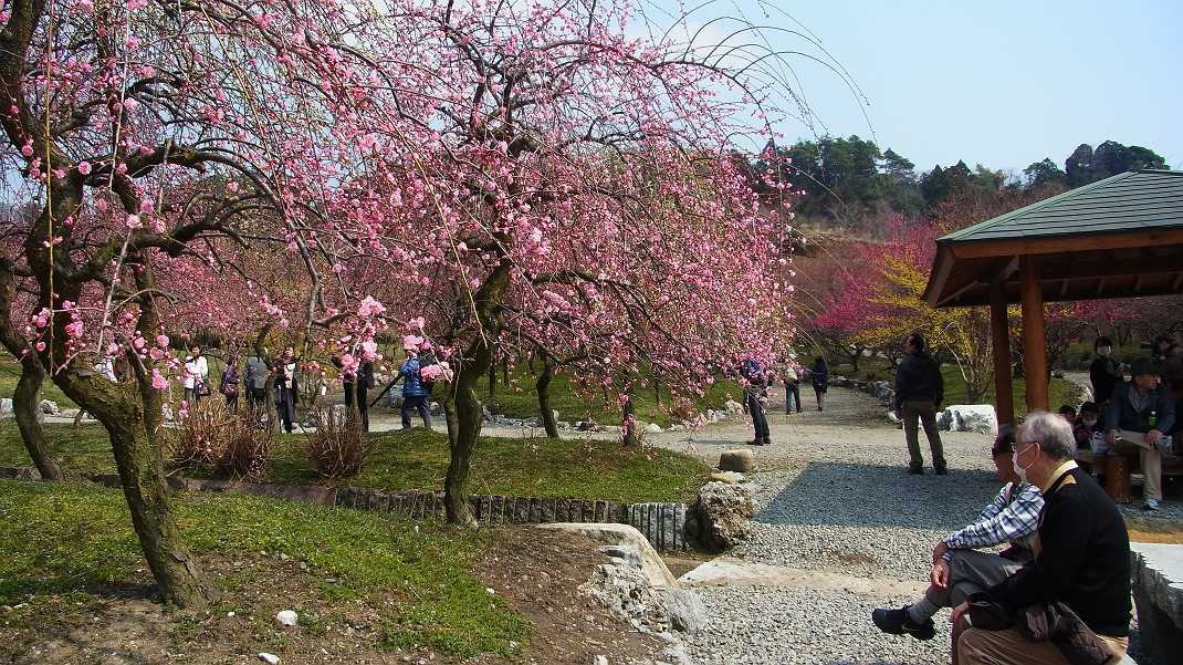 a0152692_17698.jpg