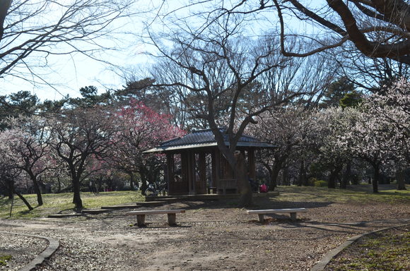 子の支えありて朝陽の暖かさ 早朝の彼岸参りや家族連_a0288500_17435872.jpg