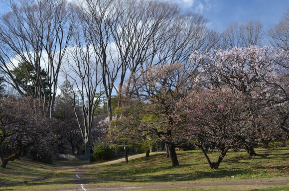 子の支えありて朝陽の暖かさ 早朝の彼岸参りや家族連_a0288500_17464512.jpg