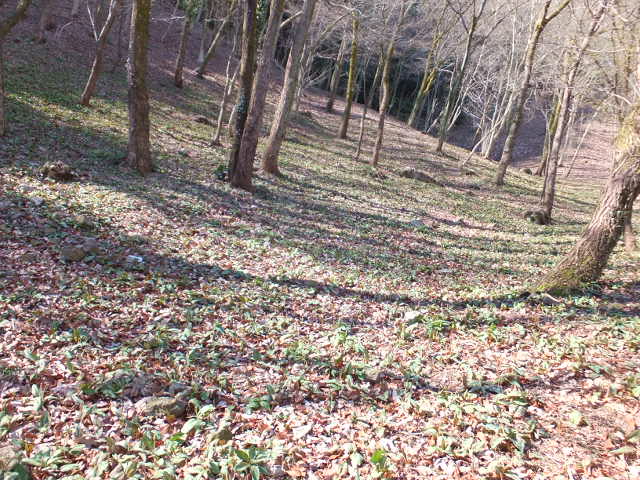a0271502_15544557.jpg