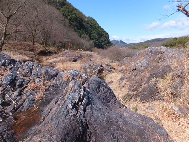 a0271502_1630556.jpg