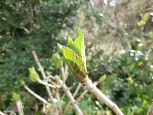 c0156104_21303374.jpg