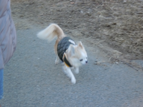 c0132205_16143385.jpg