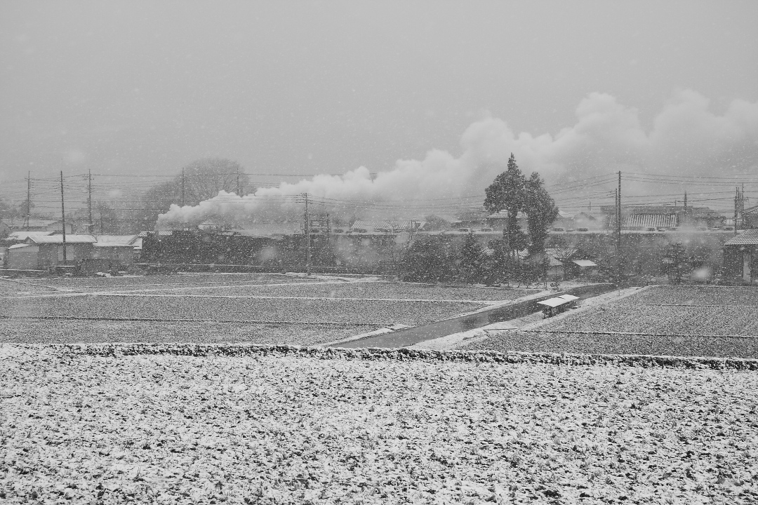 雪景色のD51 - 2014年早春・上越線 - _b0190710_21531235.jpg