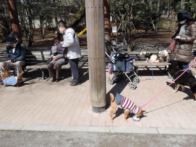 b0312810_1622464.jpg