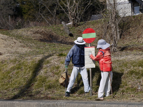 ぽかぽか陽気に、どんぐり１１へ。_b0116313_2310288.jpg