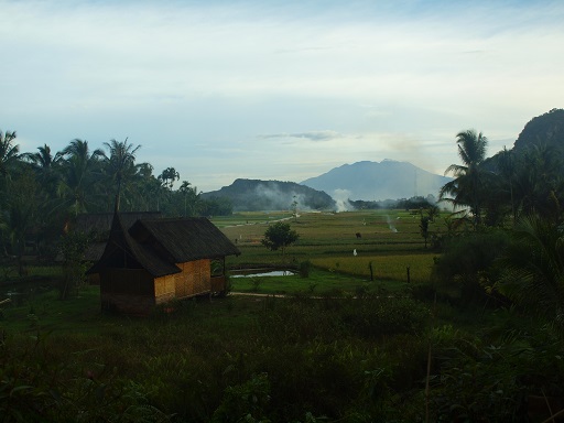 e0112213_037531.jpg