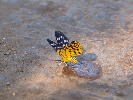 e0112213_047467.jpg