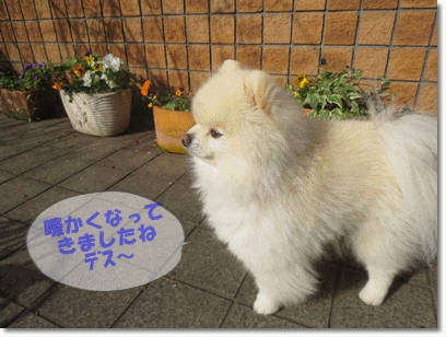 b0167519_15121091.gif