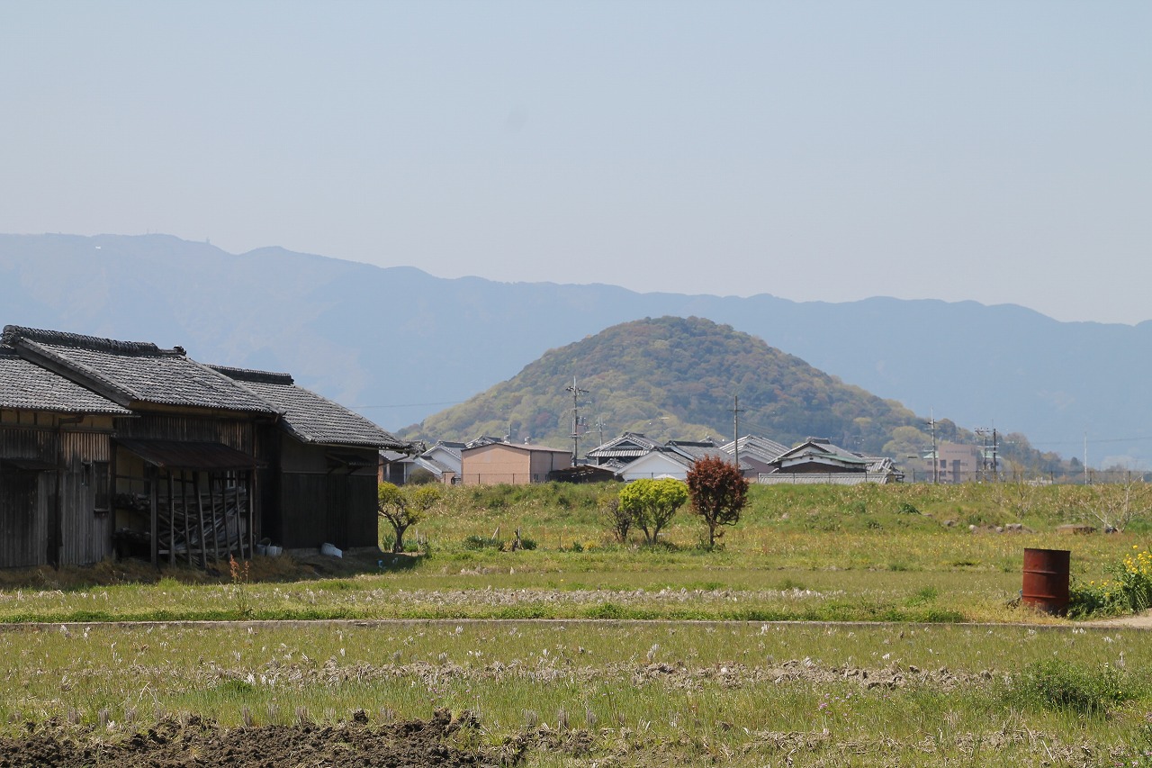 b0162728_881436.jpg