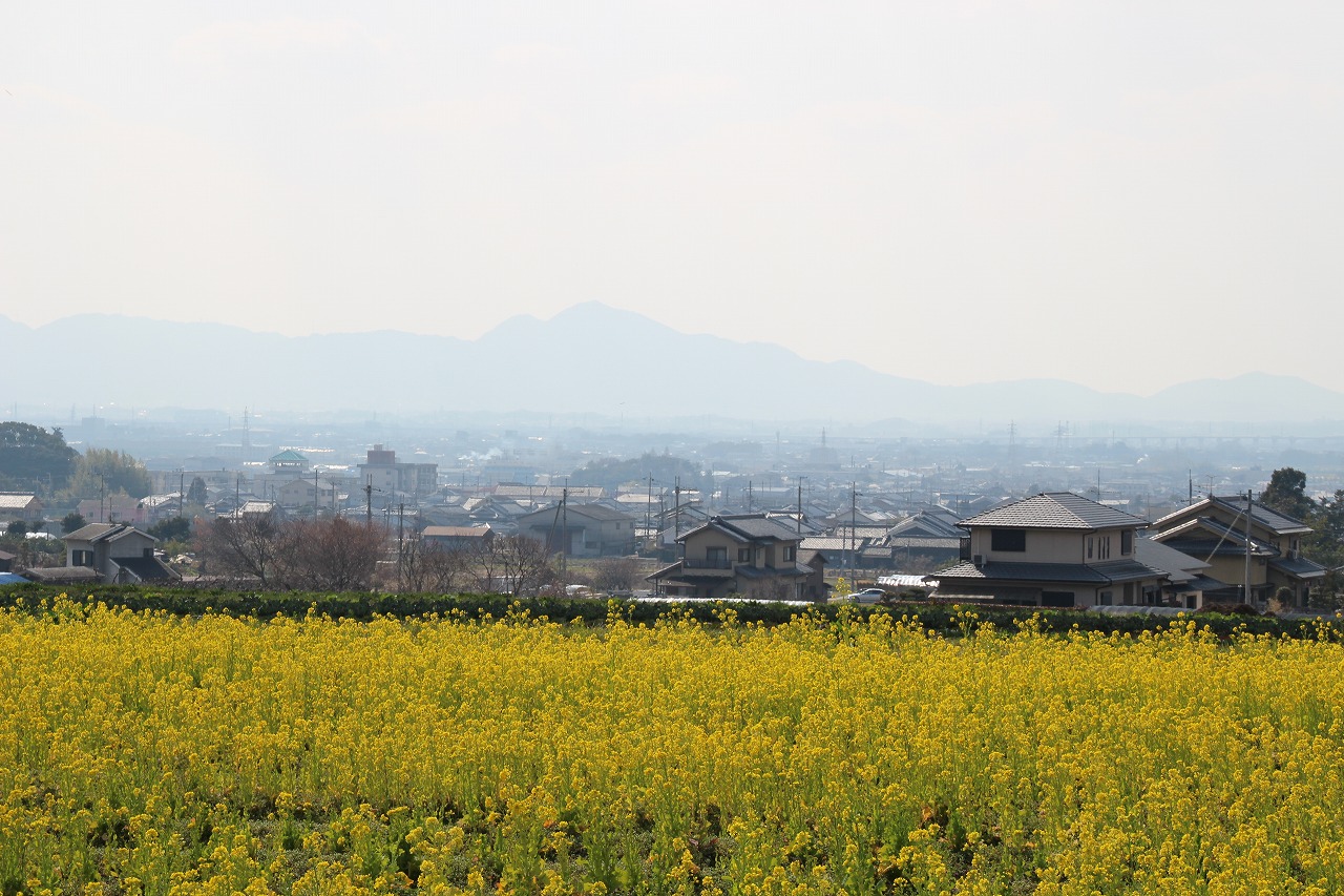b0162728_89109.jpg