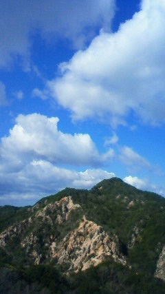 b0279129_1151726.jpg