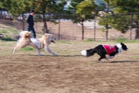 d0104029_15570832.jpg