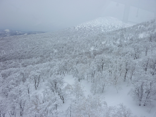 b0298935_23154020.jpg