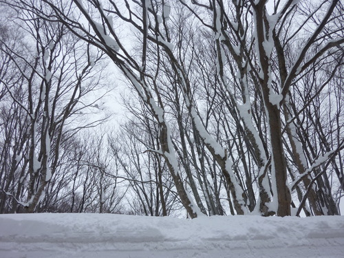 b0298935_23165080.jpg