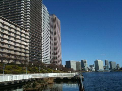 石川島公園 中央区 3月21日 猫好き写真館