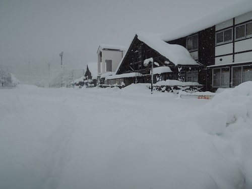 「春分の日」の大雪、なんとか開店しております。_b0206037_13474473.jpg