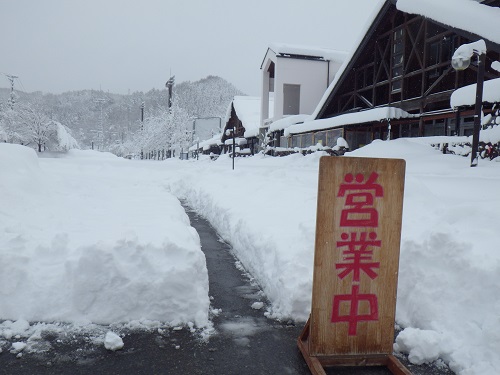 「春分の日」の大雪、なんとか開店しております。_b0206037_1352079.jpg
