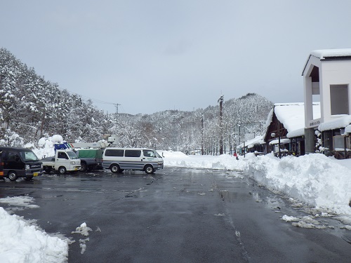「春分の日」の大雪、なんとか開店しております。_b0206037_13532169.jpg