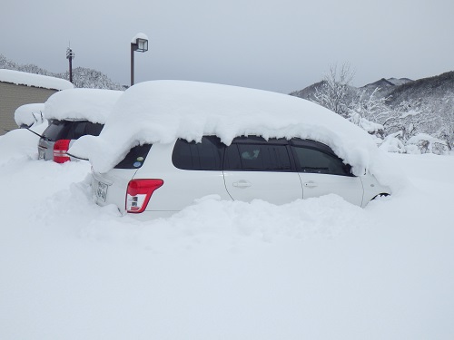 「春分の日」の大雪、なんとか開店しております。_b0206037_13555961.jpg