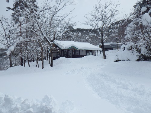 「春分の日」の大雪、なんとか開店しております。_b0206037_13584250.jpg