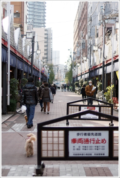 月島 もんじゃ焼き たんぽぽ 店内ペットokのお店 My Toypoodle