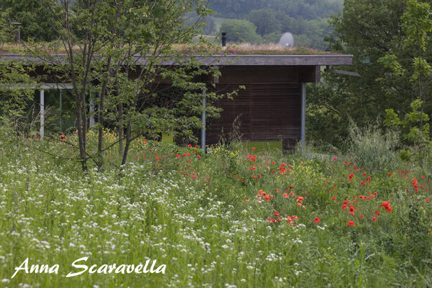 La Casa nella prateria 草原の中の家_d0262144_746473.jpg