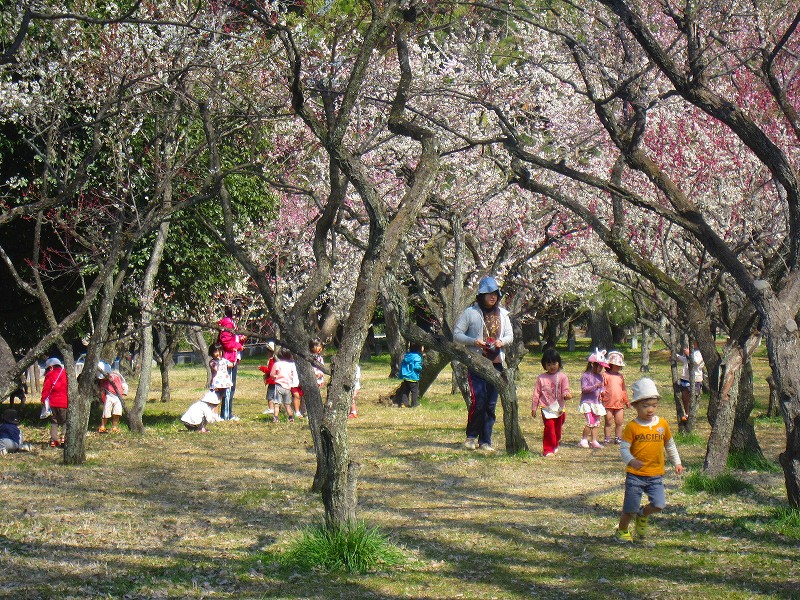 梅が咲く『京都御苑』は賑やかでした。_e0237645_22531032.jpg