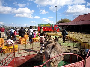 3連休は いちご動物園 げんきの郷の日々 3連休は いちご動物園 げんきの郷の日々
