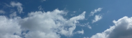 d0168567_17545014.jpg