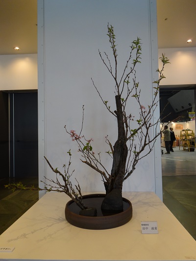 全国陶磁器フェアIN福岡 3日目_d0195183_22154825.jpg