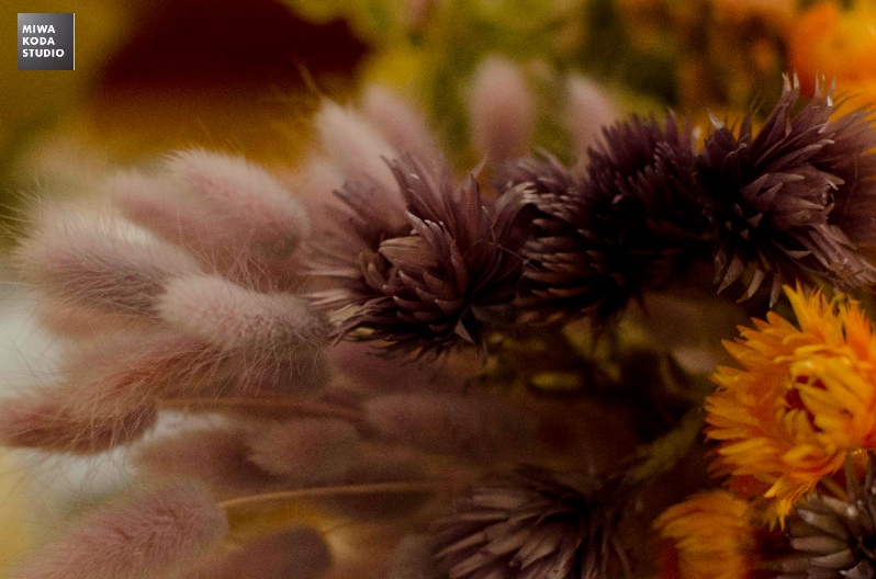 March 24, 2014 奇麗な写真 お花の束 A bunch of flower _a0307186_15241478.jpg