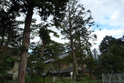 f0008686_15362846.jpg