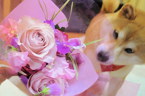 ありがとう!! Thank you!!_a0126590_1251629.jpg