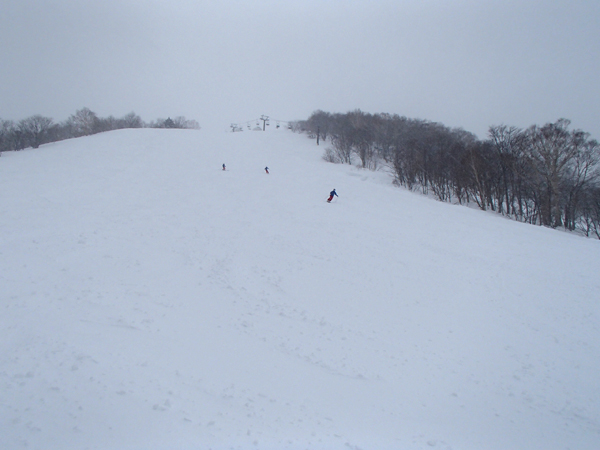 a0043193_2046723.jpg