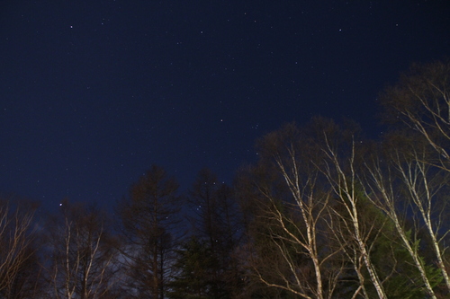 e0334696_1725132.jpg
