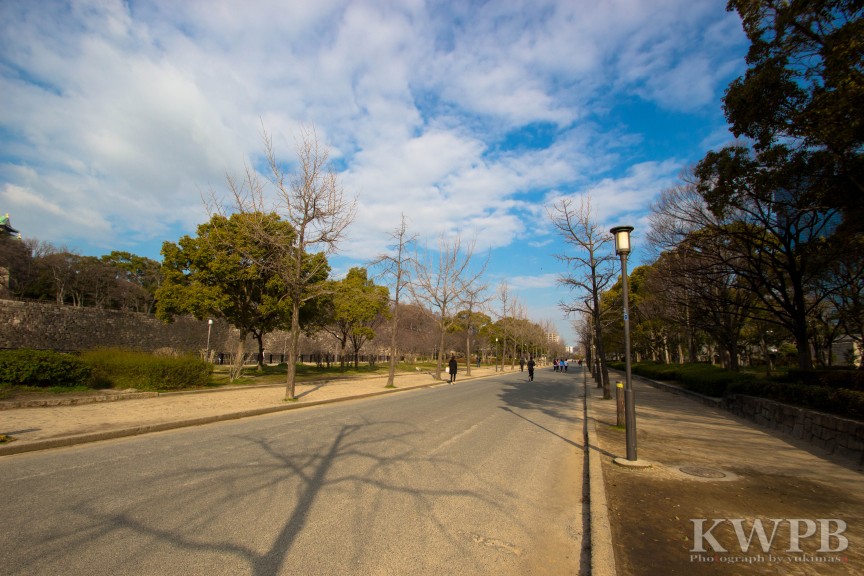 豊臣秀吉 ゆかりの地をぶらり 【大阪城・梅編】 Part1 ～大阪城公園～_b0234699_14342533.jpg