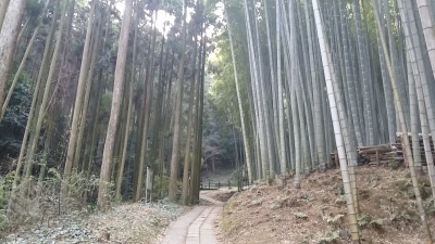 武雄、嬉野への小旅行_e0016003_16185559.jpg